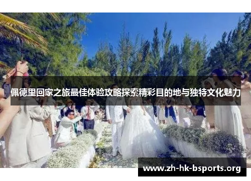 佩德里回家之旅最佳体验攻略探索精彩目的地与独特文化魅力