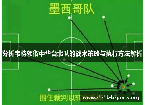 分析韦特领衔中华台北队的战术策略与执行方法解析