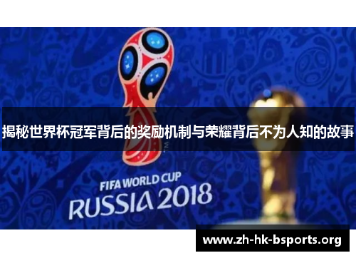 揭秘世界杯冠军背后的奖励机制与荣耀背后不为人知的故事
