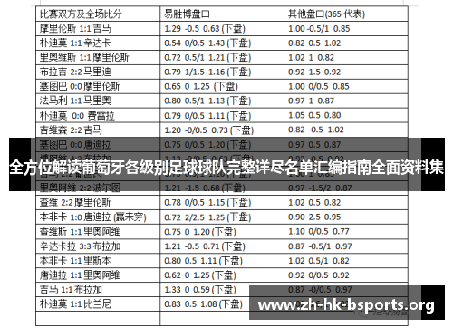 全方位解读葡萄牙各级别足球球队完整详尽名单汇编指南全面资料集