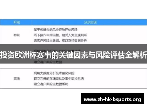 投资欧洲杯赛事的关键因素与风险评估全解析 投资欧洲杯赛事的关键因素与风险评估全解析